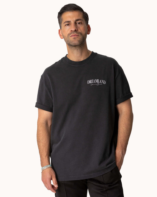 Relaxed Dreamland T-Shirt (washed gray)